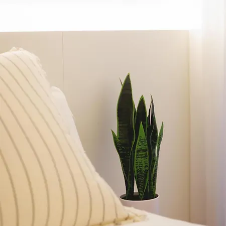 Bravissimo Pou Rodo, 2-bedroom And Bike Friendly Girona